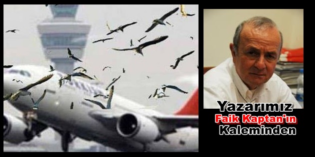 Milenyum’un Kurbanı Martıları Unutmayalım